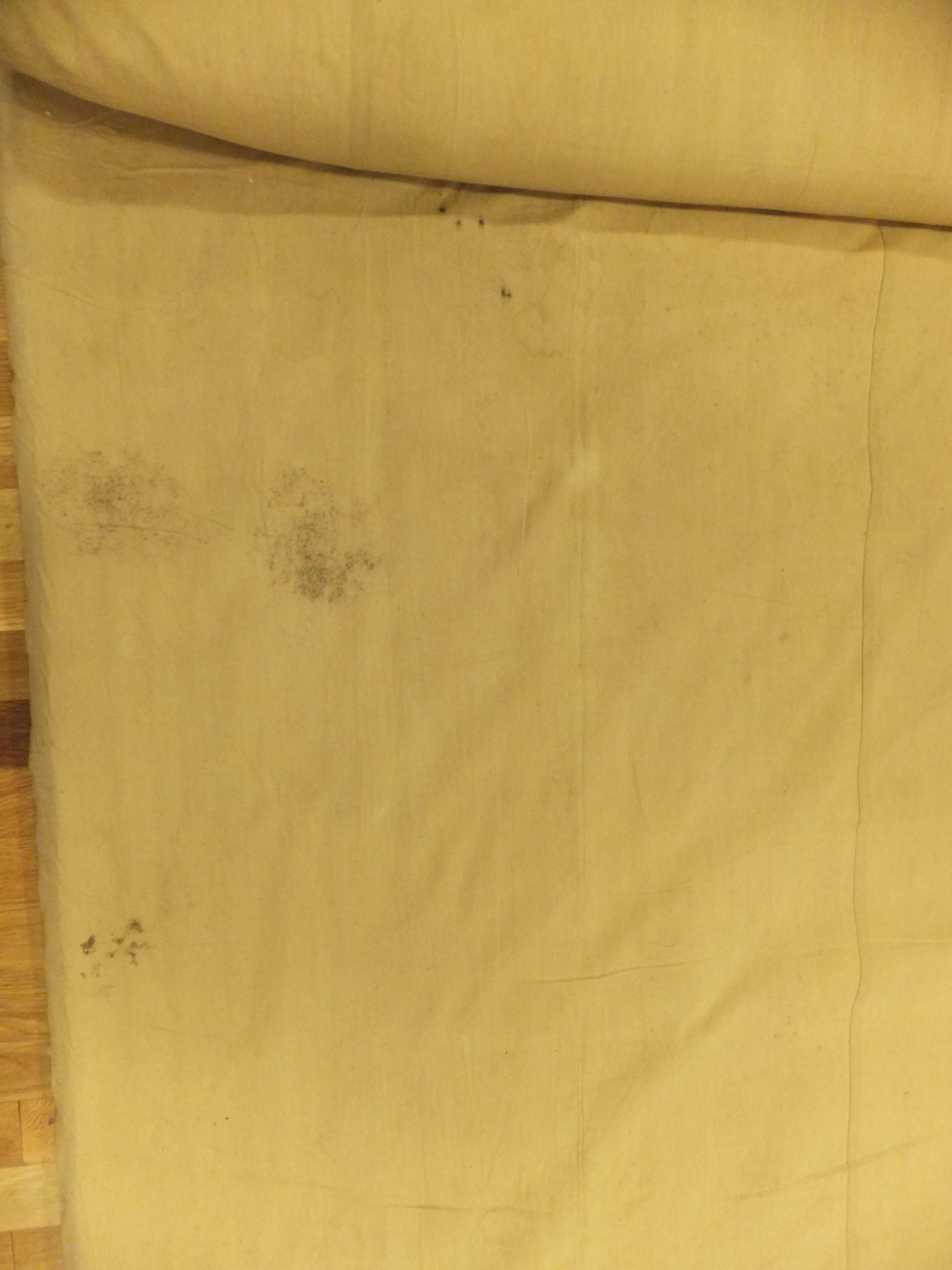 Rug image